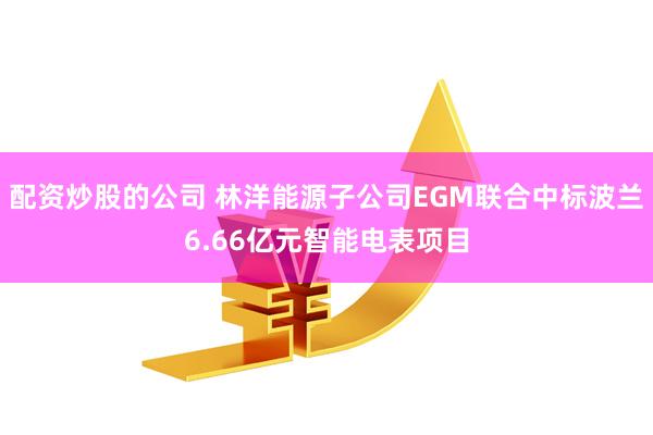 配资炒股的公司 林洋能源子公司EGM联合中标波兰6.66亿元智能电表项目