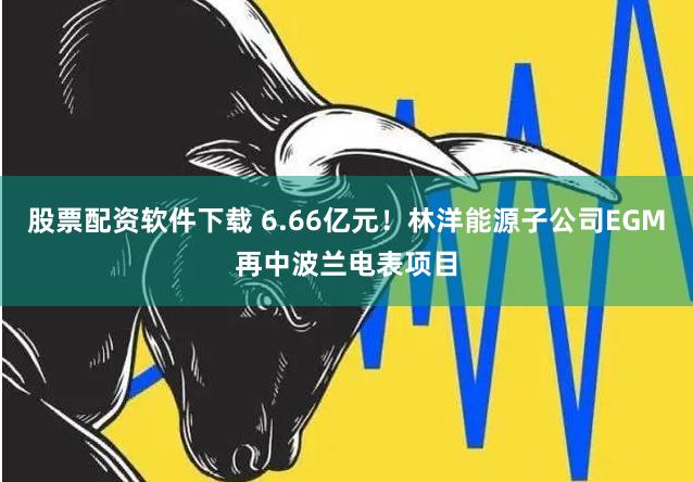 股票配资软件下载 6.66亿元！林洋能源子公司EGM再中波兰电表项目